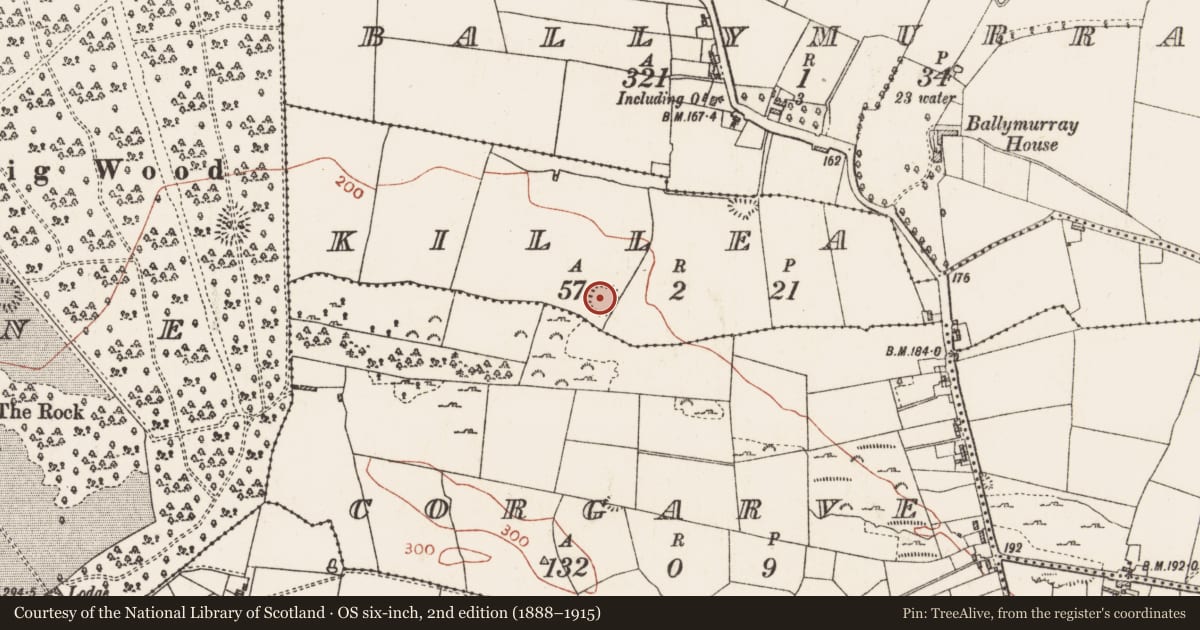 Ordnance Survey six-inch map, 2nd edition (1888–1915) covering the location of Ringfort - rath, Killea, County Roscommon, with a pin at the register's coordinates