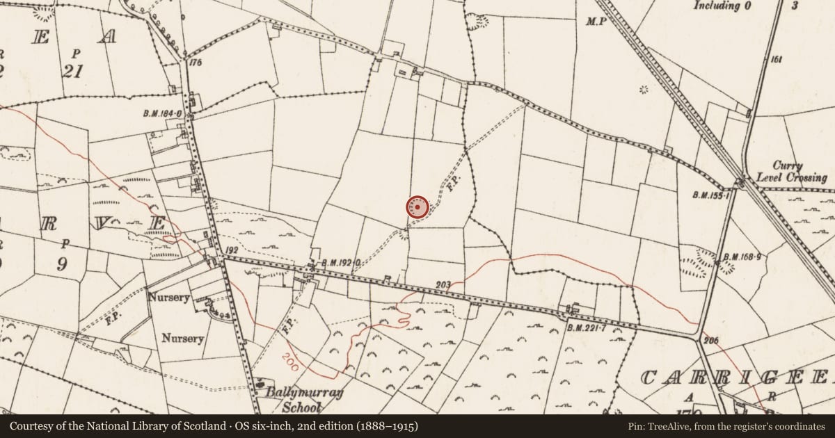 Ordnance Survey six-inch map, 2nd edition (1888–1915) covering the location of Ringfort - cashel, Ballymurray, County Roscommon, with a pin at the register's coordinates