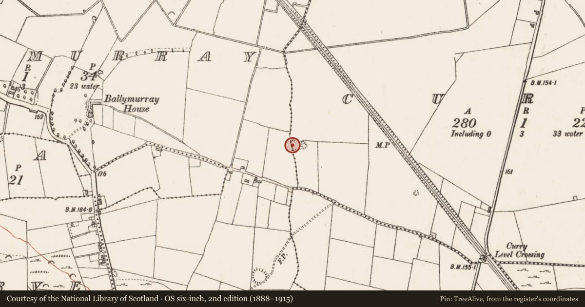 Ordnance Survey six-inch map, 2nd edition (1888–1915) covering the location of Ringfort - rath, Ballymurray, Curry, County Roscommon, with a pin at the register's coordinates