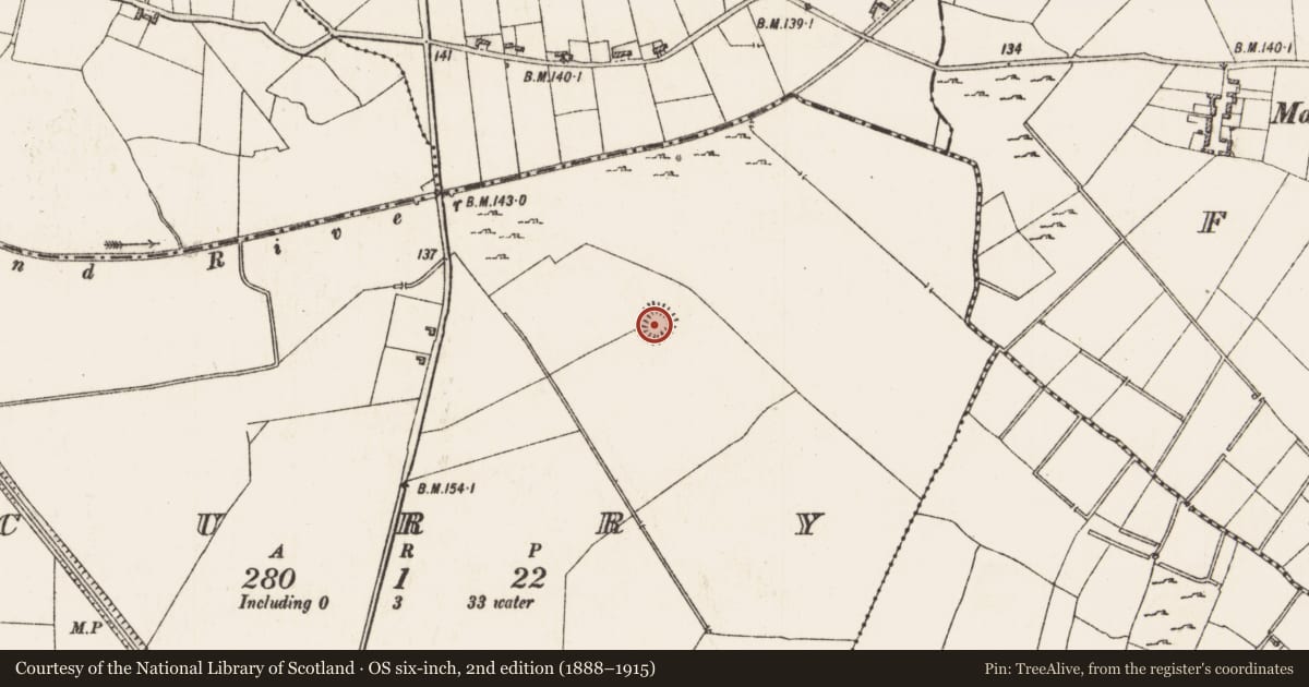 Ordnance Survey six-inch map, 2nd edition (1888–1915) covering the location of Ringfort - rath, Curry, County Roscommon, with a pin at the register's coordinates