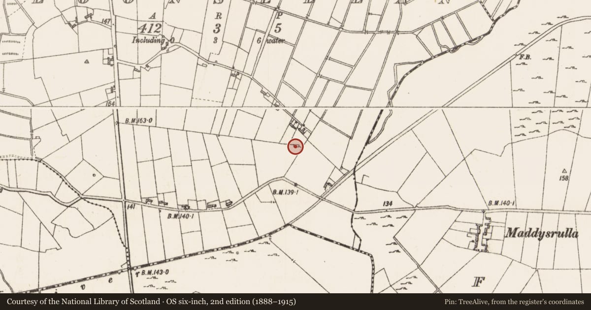Ordnance Survey six-inch map, 2nd edition (1888–1915) covering the location of Church, Cloonsellan, County Roscommon, with a pin at the register's coordinates