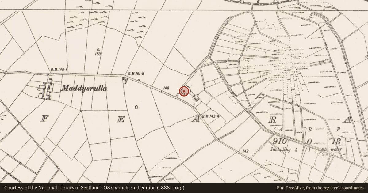 Ordnance Survey six-inch map, 2nd edition (1888–1915) covering the location of Ringfort - rath, Fearagh, County Roscommon, with a pin at the register's coordinates