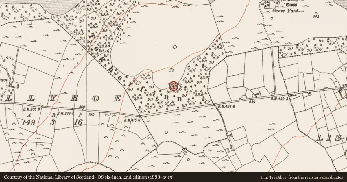 Ordnance Survey six-inch map, 2nd edition (1888–1915) covering the location of Ringfort - rath, Mote Demesne, County Roscommon, with a pin at the register's coordinates