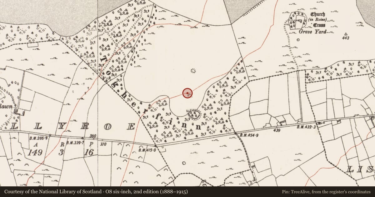 Ordnance Survey six-inch map, 2nd edition (1888–1915) covering the location of Quarry, Mote Demesne, County Roscommon, with a pin at the register's coordinates