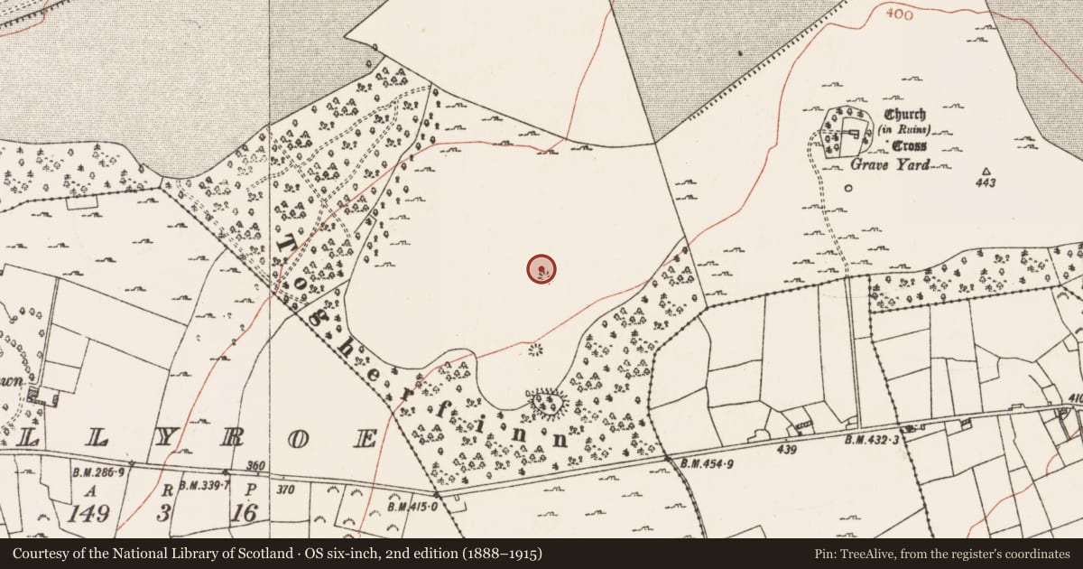 Ordnance Survey six-inch map, 2nd edition (1888–1915) covering the location of Quarry, Mote Demesne, County Roscommon, with a pin at the register's coordinates