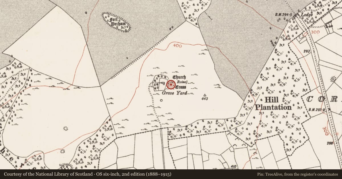 Ordnance Survey six-inch map, 2nd edition (1888–1915) covering the location of Cross - Wayside cross, Mote Demesne, County Roscommon, with a pin at the register's coordinates