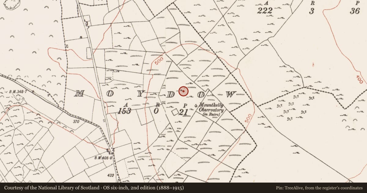 Ordnance Survey six-inch map, 2nd edition (1888–1915) covering the location of Field system, Moydow, County Roscommon, with a pin at the register's coordinates