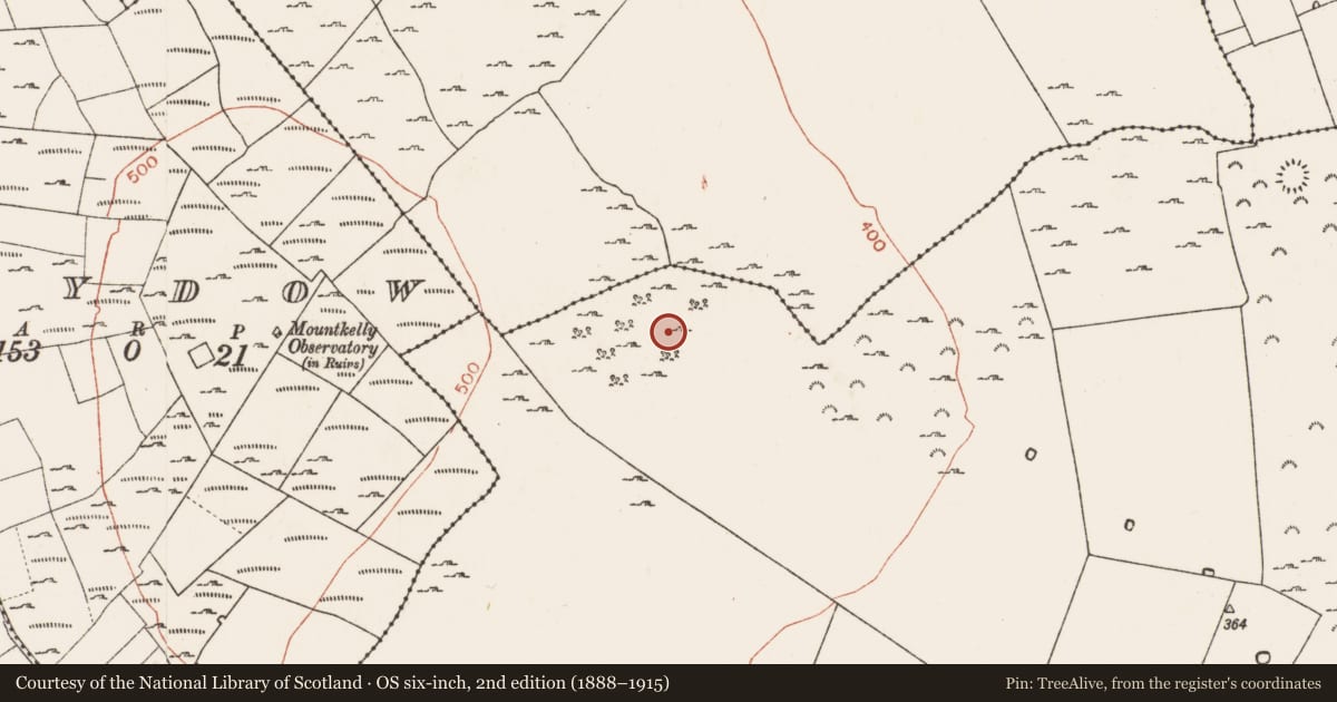 Ordnance Survey six-inch map, 2nd edition (1888–1915) covering the location of Ringfort - rath, Kilcash, County Roscommon, with a pin at the register's coordinates