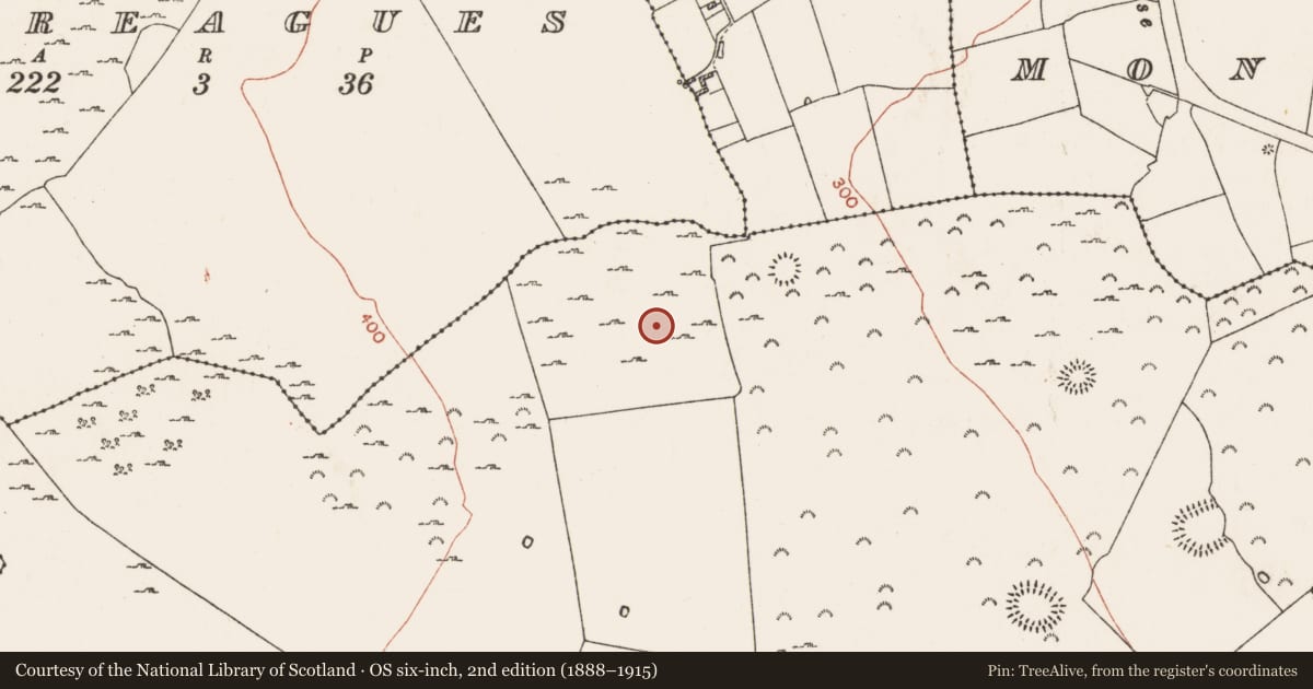 Ordnance Survey six-inch map, 2nd edition (1888–1915) covering the location of Ringfort - cashel, Kilcash, County Roscommon, with a pin at the register's coordinates