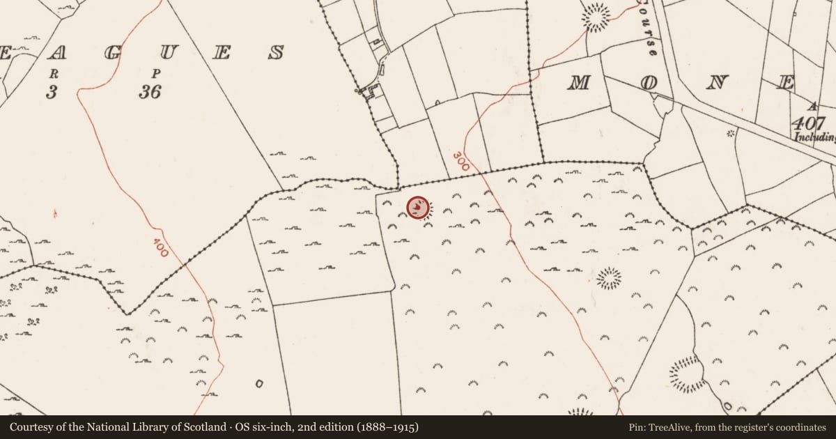 Ordnance Survey six-inch map, 2nd edition (1888–1915) covering the location of Ringfort - rath, Kilcash, County Roscommon, with a pin at the register's coordinates