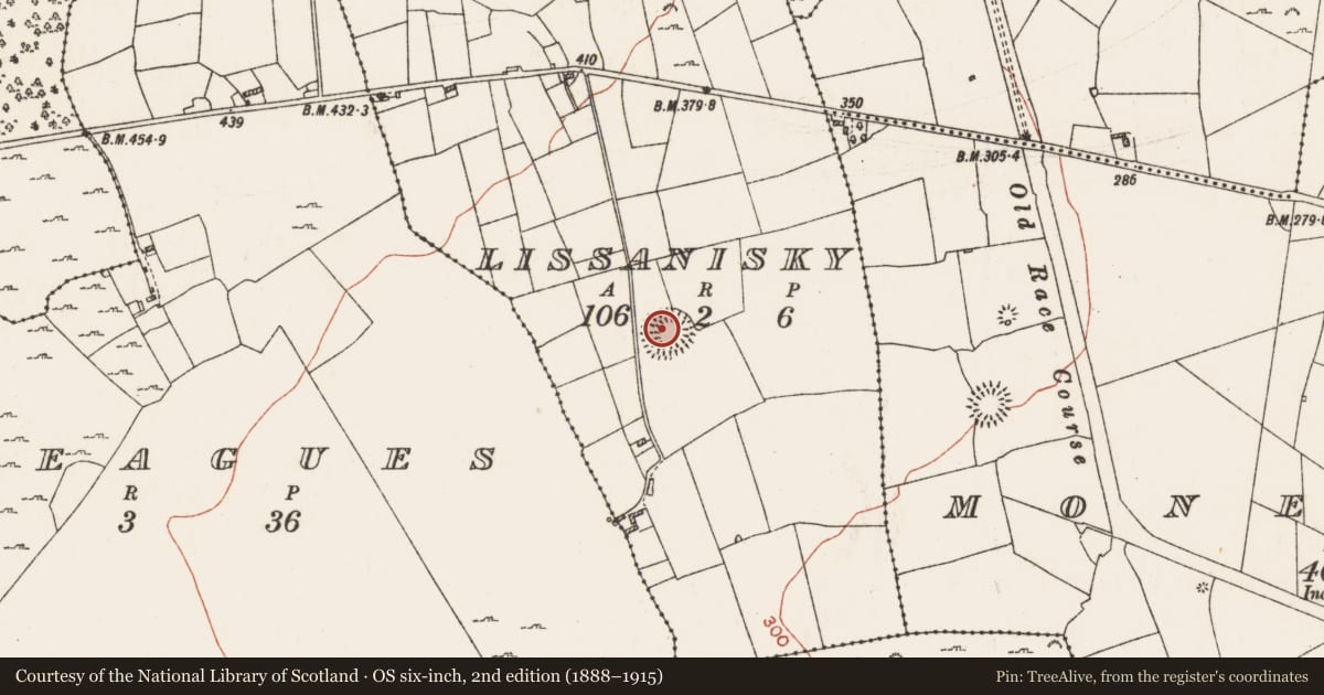 Ordnance Survey six-inch map, 2nd edition (1888–1915) covering the location of Ringfort - rath, Lissanisky, County Roscommon, with a pin at the register's coordinates