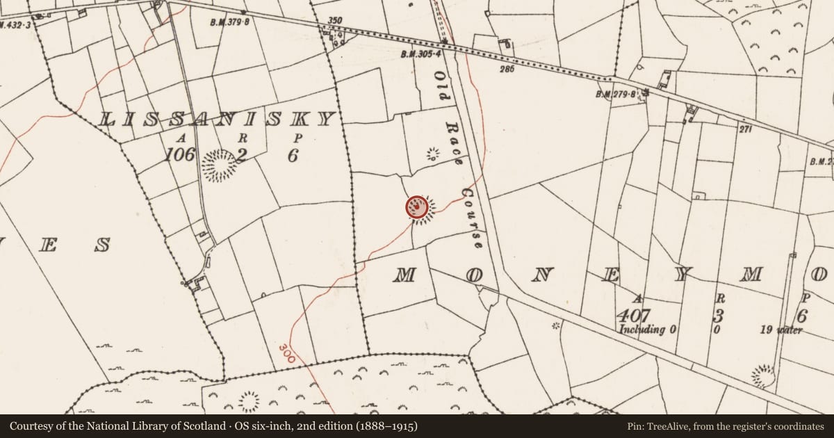 Ordnance Survey six-inch map, 2nd edition (1888–1915) covering the location of Ringfort - rath, Moneymore, County Roscommon, with a pin at the register's coordinates