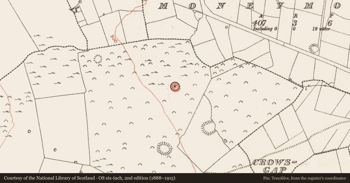Ordnance Survey six-inch map, 2nd edition (1888–1915) covering the location of Ringfort - rath, Kilcash, County Roscommon, with a pin at the register's coordinates