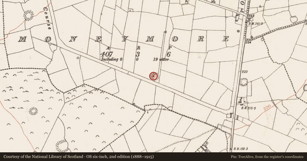 Ordnance Survey six-inch map, 2nd edition (1888–1915) covering the location of Ringfort - rath, Moneymore, County Roscommon, with a pin at the register's coordinates