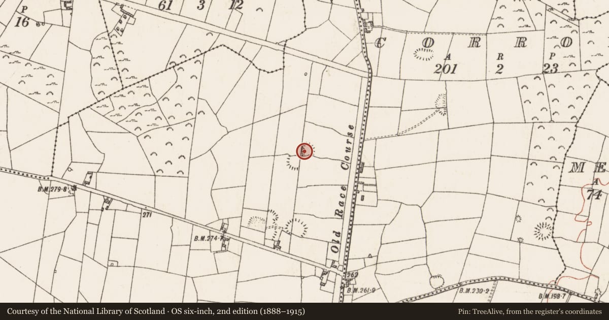 Ordnance Survey six-inch map, 2nd edition (1888–1915) covering the location of Ringfort - rath, Moneymore, County Roscommon, with a pin at the register's coordinates