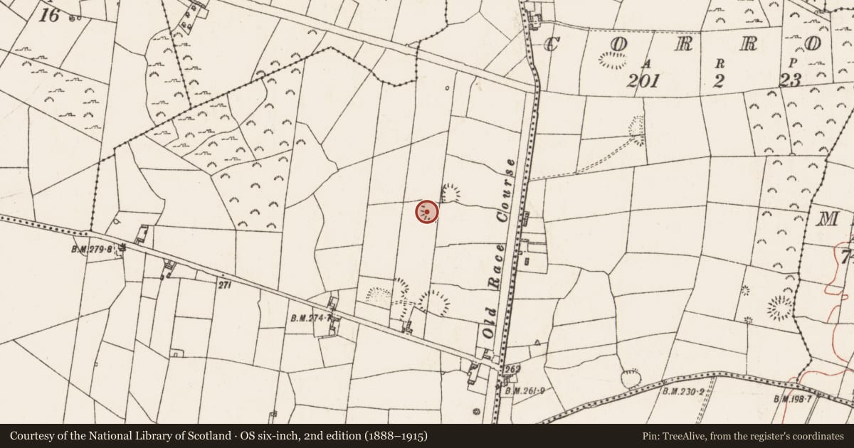 Ordnance Survey six-inch map, 2nd edition (1888–1915) covering the location of Ringfort - rath, Moneymore, County Roscommon, with a pin at the register's coordinates