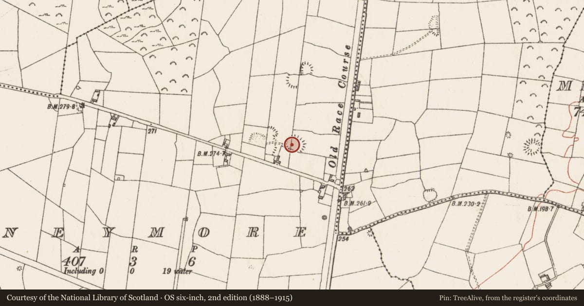 Ordnance Survey six-inch map, 2nd edition (1888–1915) covering the location of Ringfort - rath, Moneymore, County Roscommon, with a pin at the register's coordinates