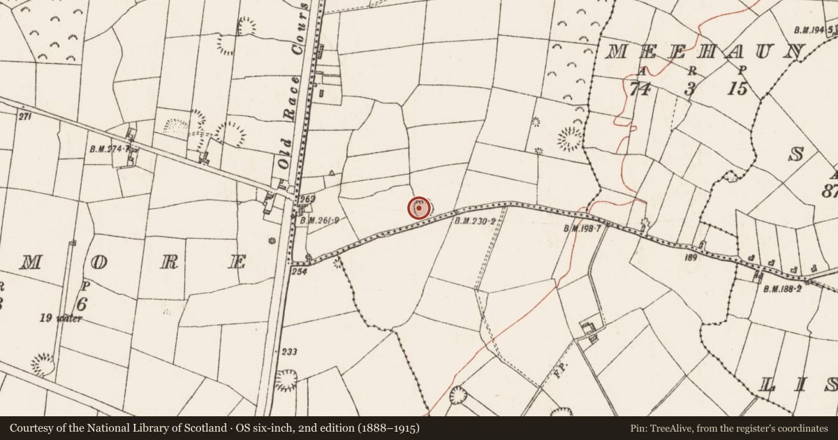 Ordnance Survey six-inch map, 2nd edition (1888–1915) covering the location of Ringfort - rath, Corroy, County Roscommon, with a pin at the register's coordinates