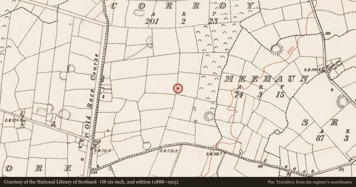 Ordnance Survey six-inch map, 2nd edition (1888–1915) covering the location of Ringfort - rath, Corroy, County Roscommon, with a pin at the register's coordinates