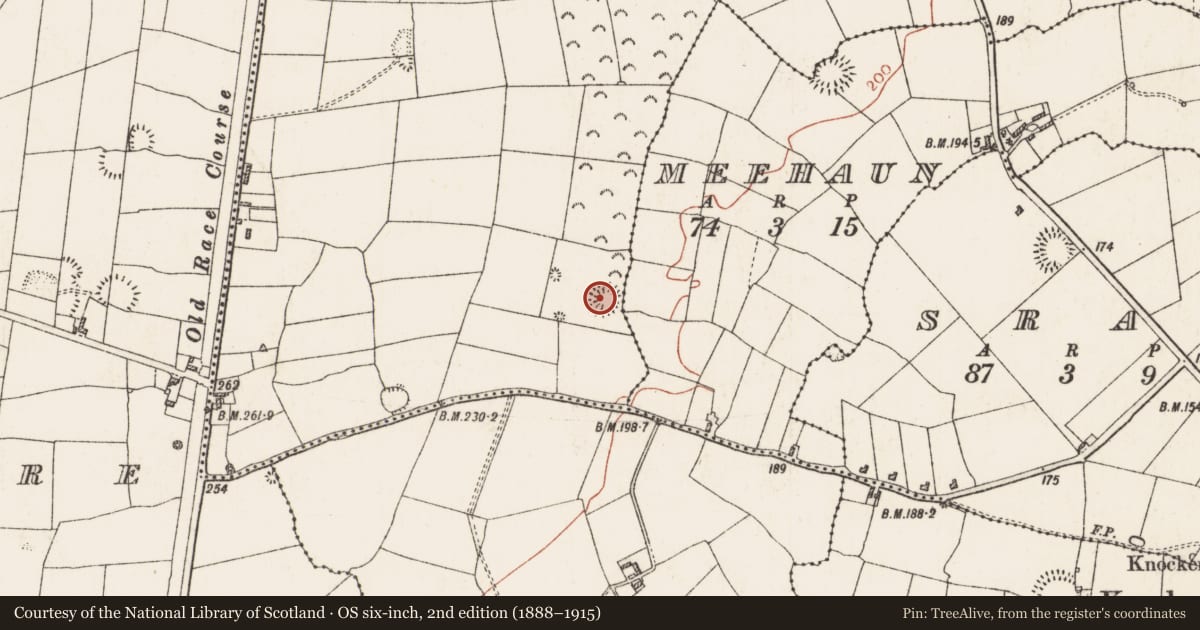 Ordnance Survey six-inch map, 2nd edition (1888–1915) covering the location of Ringfort - rath, Corroy, County Roscommon, with a pin at the register's coordinates