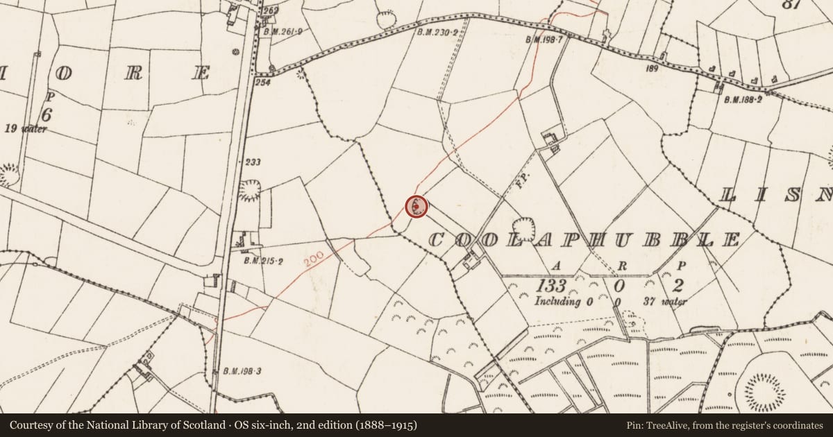 Ordnance Survey six-inch map, 2nd edition (1888–1915) covering the location of Ringfort - rath, Coolaphubble, County Roscommon, with a pin at the register's coordinates