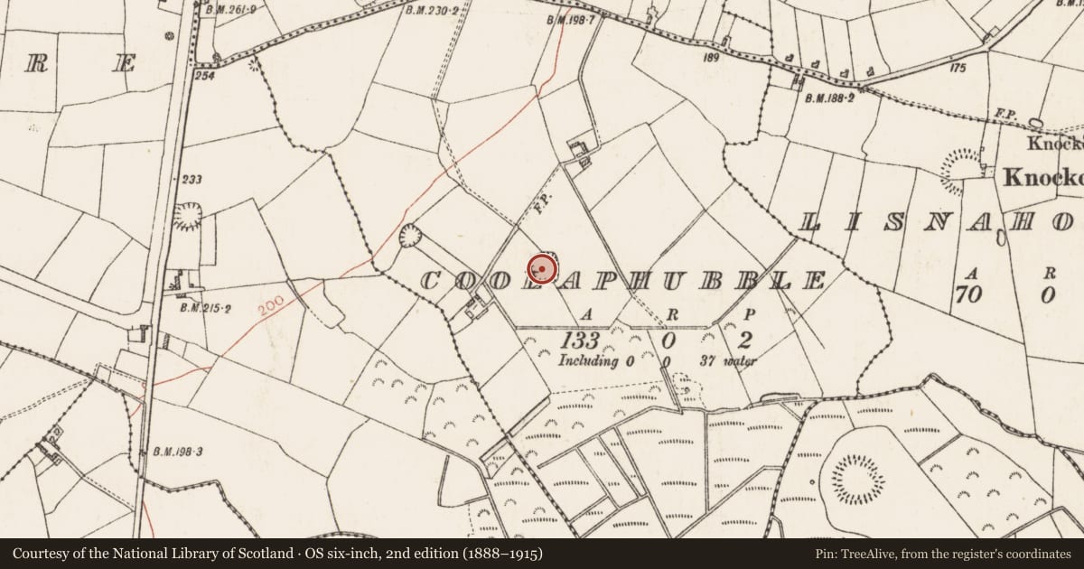 Ordnance Survey six-inch map, 2nd edition (1888–1915) covering the location of Ringfort - rath, Coolaphubble, County Roscommon, with a pin at the register's coordinates