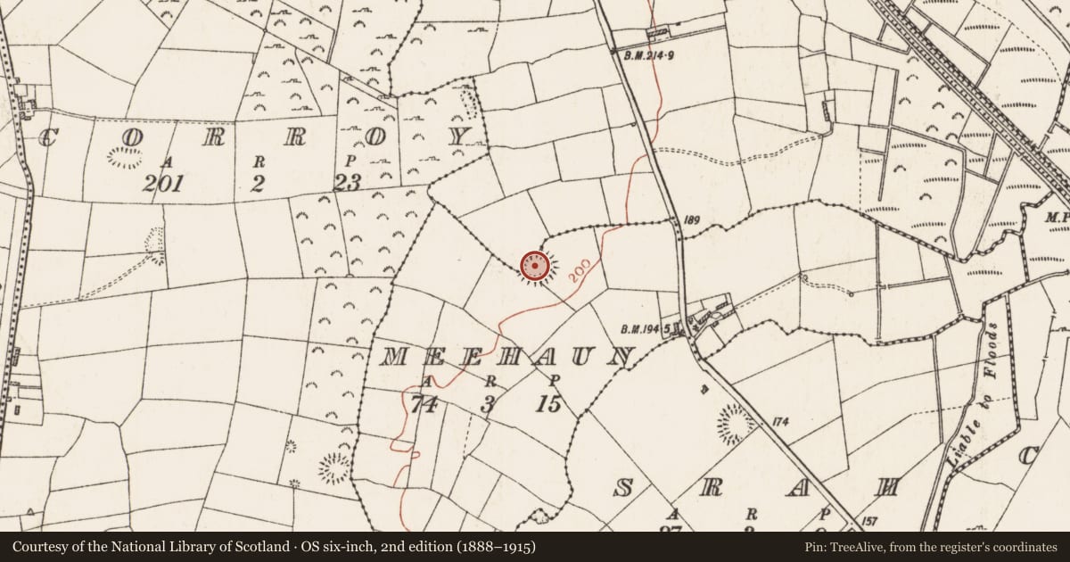 Ordnance Survey six-inch map, 2nd edition (1888–1915) covering the location of Ringfort - rath, Carrigeens, Meehaun, County Roscommon, with a pin at the register's coordinates