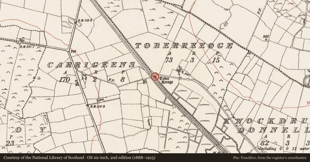 Ordnance Survey six-inch map, 2nd edition (1888–1915) covering the location of Ritual site - holy well, Toberreeoge, County Roscommon, with a pin at the register's coordinates