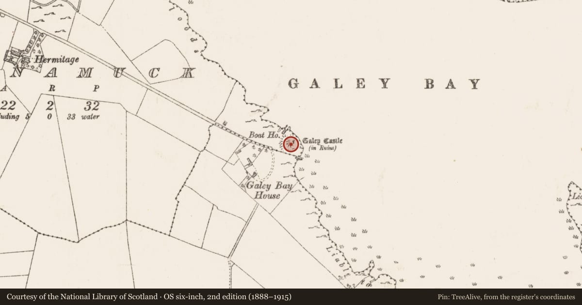 Ordnance Survey six-inch map, 2nd edition (1888–1915) covering the location of Castle - tower house, Longnamuck, County Roscommon, with a pin at the register's coordinates
