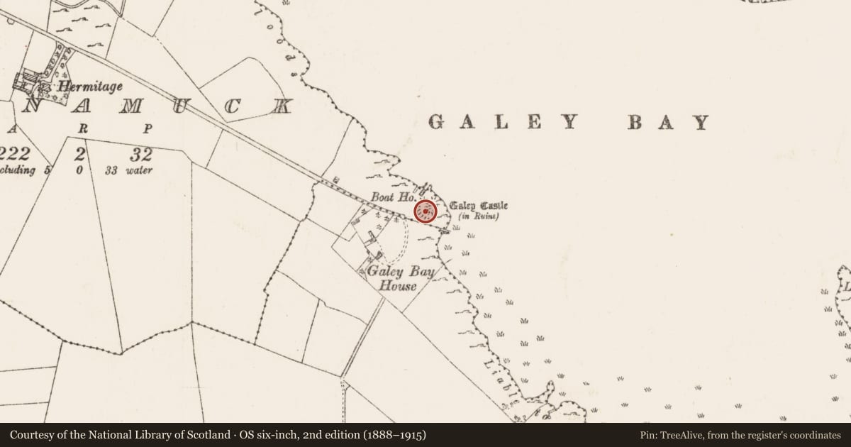 Ordnance Survey six-inch map, 2nd edition (1888–1915) covering the location of Castle - ringwork, Longnamuck, County Roscommon, with a pin at the register's coordinates