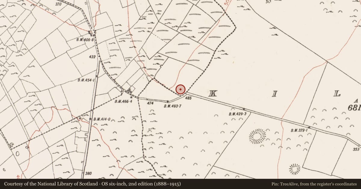 Ordnance Survey six-inch map, 2nd edition (1888–1915) covering the location of Cross - Wayside cross, Moydow, County Roscommon, with a pin at the register's coordinates