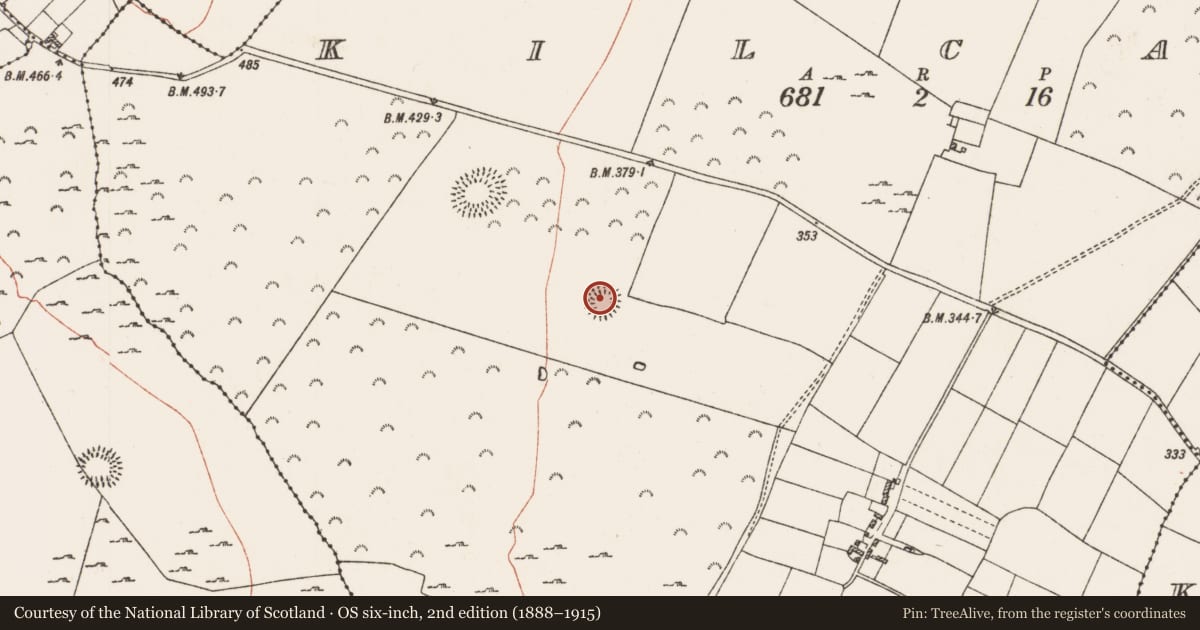 Ordnance Survey six-inch map, 2nd edition (1888–1915) covering the location of Ringfort - rath, Kilcash, County Roscommon, with a pin at the register's coordinates