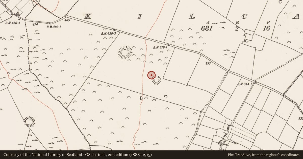 Ordnance Survey six-inch map, 2nd edition (1888–1915) covering the location of Enclosure, Kilcash, County Roscommon, with a pin at the register's coordinates