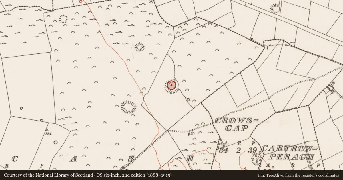 Ordnance Survey six-inch map, 2nd edition (1888–1915) covering the location of Enclosure - large enclosure, Kilcash, County Roscommon, with a pin at the register's coordinates