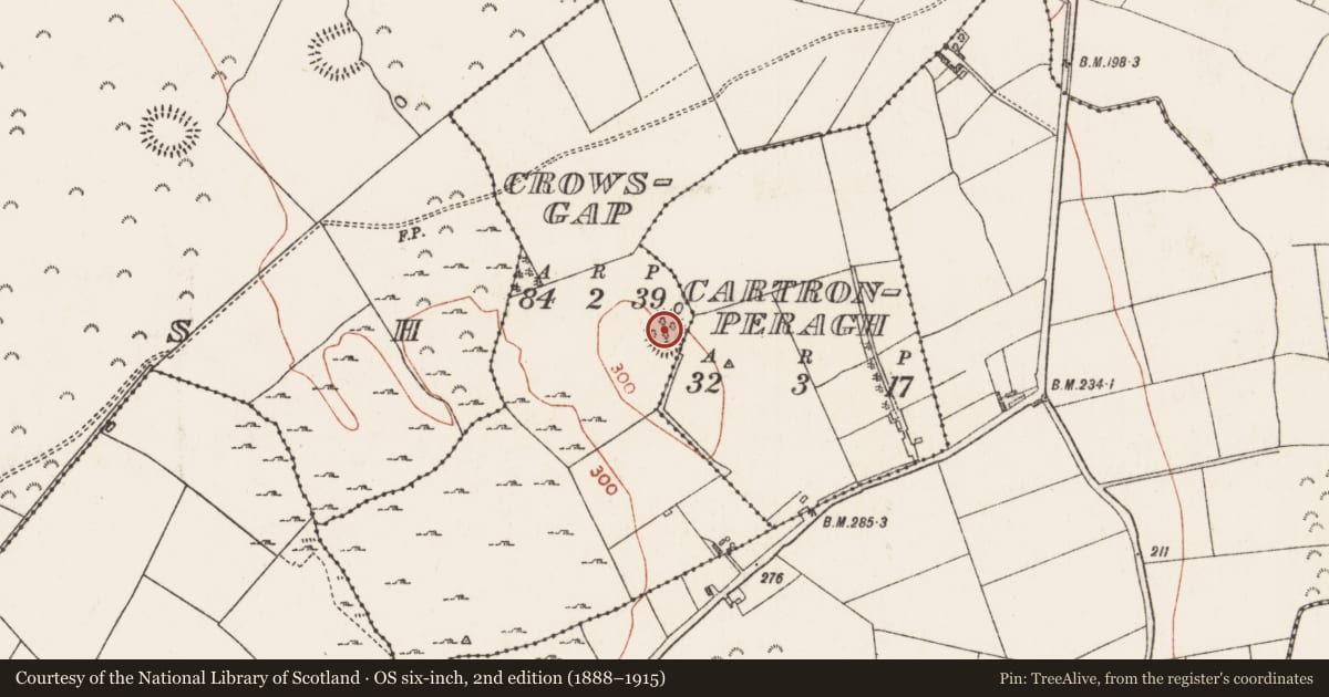 Ordnance Survey six-inch map, 2nd edition (1888–1915) covering the location of Ringfort - rath, Crowsgap, County Roscommon, with a pin at the register's coordinates