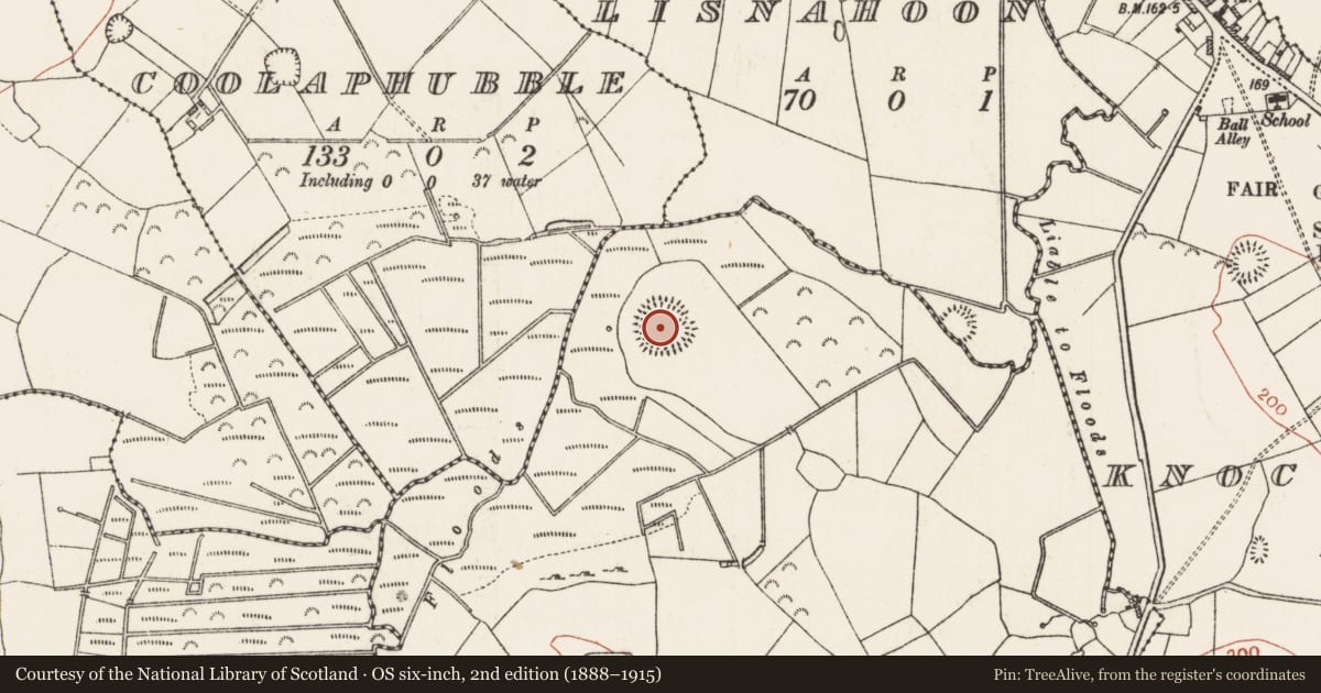 Ordnance Survey six-inch map, 2nd edition (1888–1915) covering the location of Enclosure - large enclosure, Corboley, County Roscommon, with a pin at the register's coordinates