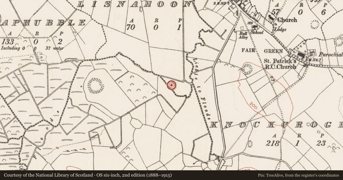 Ordnance Survey six-inch map, 2nd edition (1888–1915) covering the location of Ringfort - rath, Lisnahoon, County Roscommon, with a pin at the register's coordinates