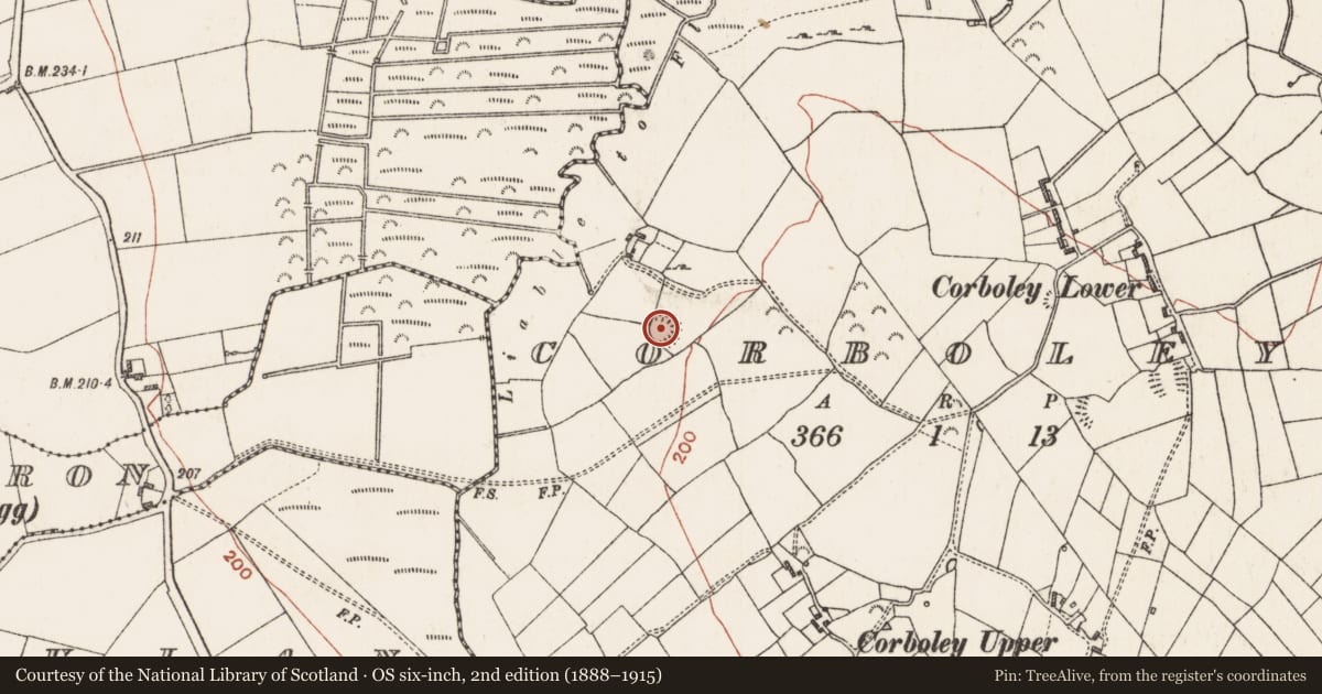 Ordnance Survey six-inch map, 2nd edition (1888–1915) covering the location of Ringfort - rath, Corboley, County Roscommon, with a pin at the register's coordinates