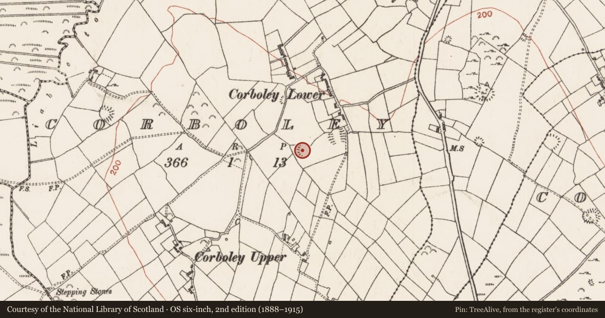 Ordnance Survey six-inch map, 2nd edition (1888–1915) covering the location of Ringfort - rath, Corboley, County Roscommon, with a pin at the register's coordinates