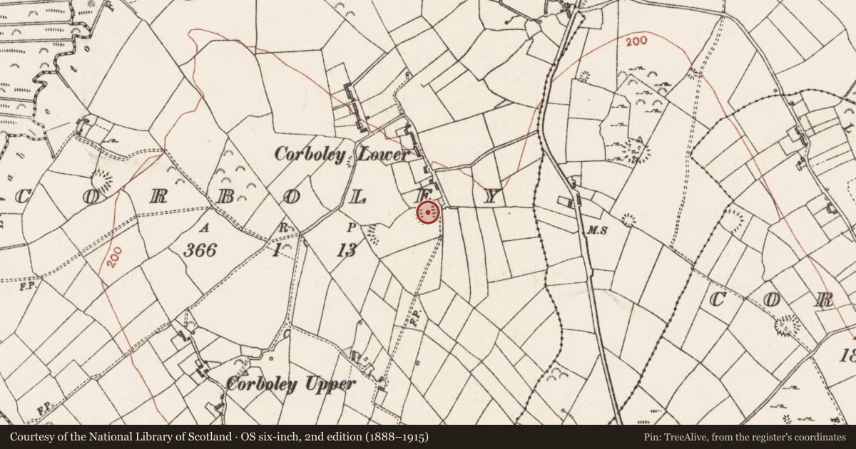 Ordnance Survey six-inch map, 2nd edition (1888–1915) covering the location of Ringfort - rath, Corboley, County Roscommon, with a pin at the register's coordinates