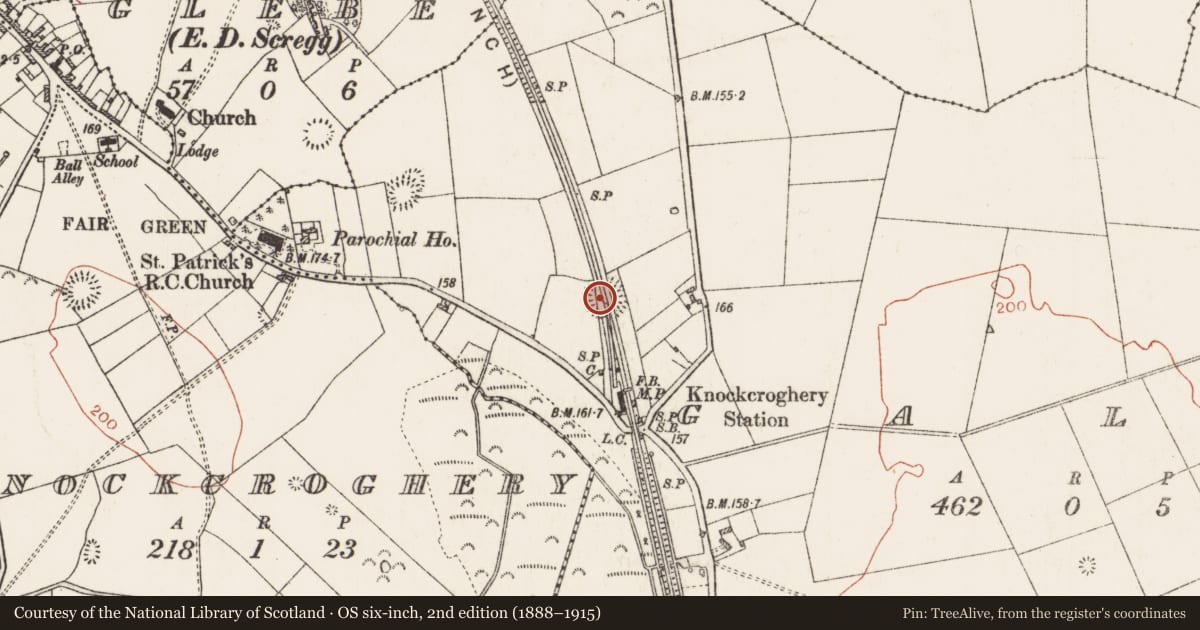 Ordnance Survey six-inch map, 2nd edition (1888–1915) covering the location of Ringfort - rath, Galey, County Roscommon, with a pin at the register's coordinates