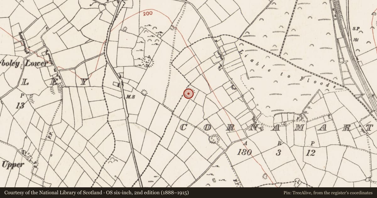 Ordnance Survey six-inch map, 2nd edition (1888–1915) covering the location of Ringfort - rath, Cornamart, Knockcroghery, County Roscommon, with a pin at the register's coordinates