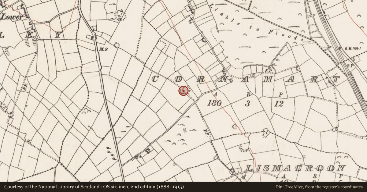 Ordnance Survey six-inch map, 2nd edition (1888–1915) covering the location of Ringfort - rath, Cornamart, County Roscommon, with a pin at the register's coordinates