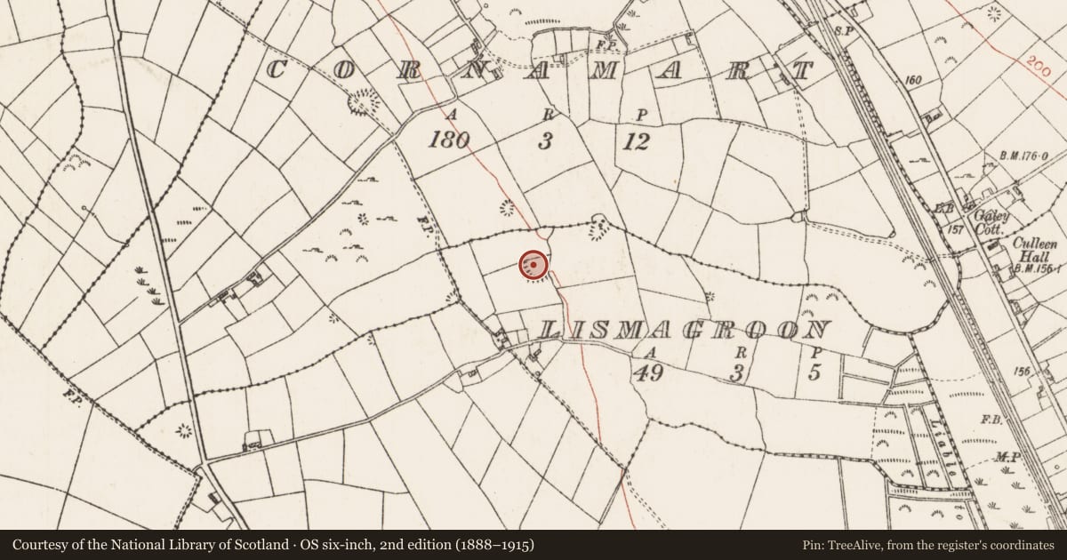 Ordnance Survey six-inch map, 2nd edition (1888–1915) covering the location of Ringfort - rath, Lismagroon, County Roscommon, with a pin at the register's coordinates