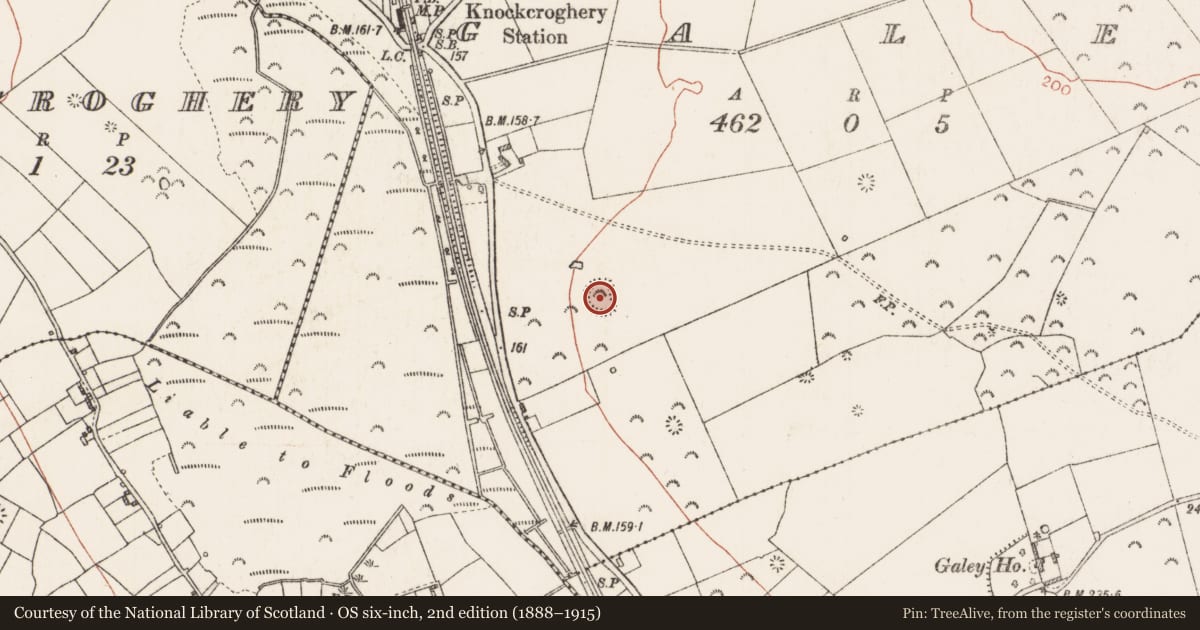 Ordnance Survey six-inch map, 2nd edition (1888–1915) covering the location of Ringfort - rath, Galey, County Roscommon, with a pin at the register's coordinates