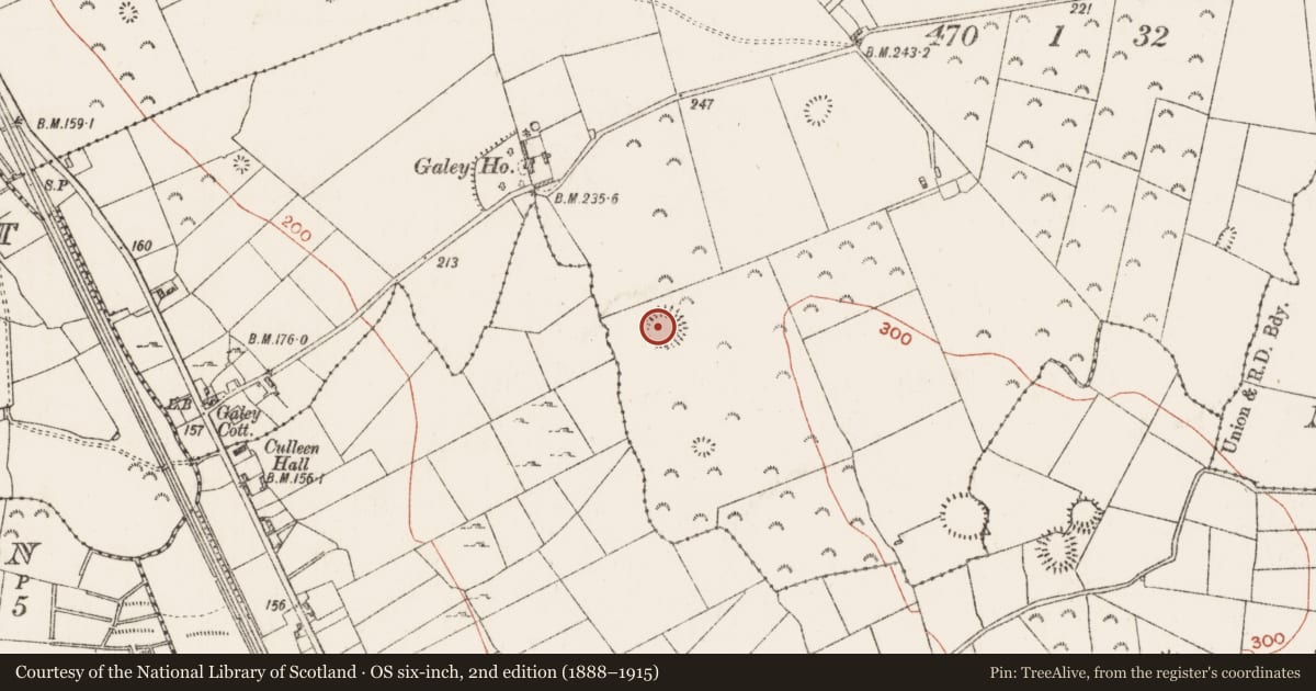 Ordnance Survey six-inch map, 2nd edition (1888–1915) covering the location of Ringfort - rath, Carrowndrisha, County Roscommon, with a pin at the register's coordinates