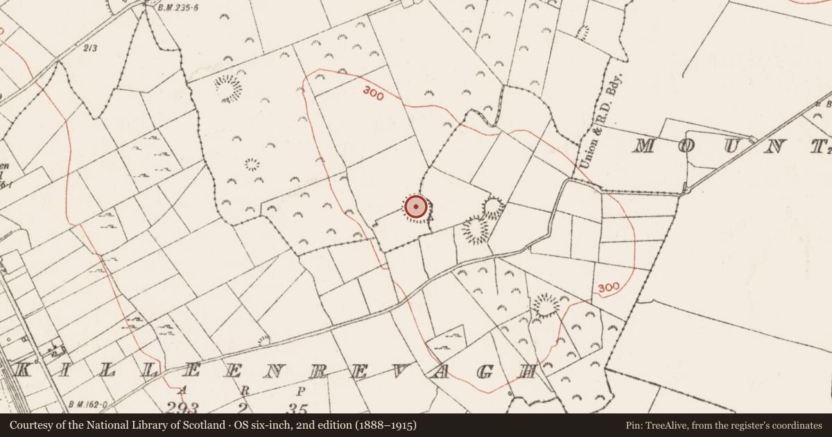 Ordnance Survey six-inch map, 2nd edition (1888–1915) covering the location of Ringfort - rath, Carrowndrisha, Mountplunkett, County Roscommon, with a pin at the register's coordinates