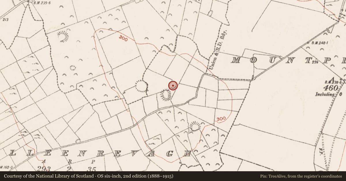 Ordnance Survey six-inch map, 2nd edition (1888–1915) covering the location of Ringfort - rath, Killeenrevagh, County Roscommon, with a pin at the register's coordinates