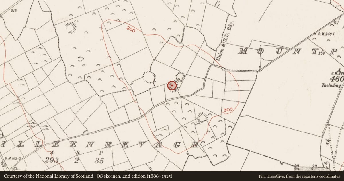 Ordnance Survey six-inch map, 2nd edition (1888–1915) covering the location of Ringfort - rath, Killeenrevagh, County Roscommon, with a pin at the register's coordinates