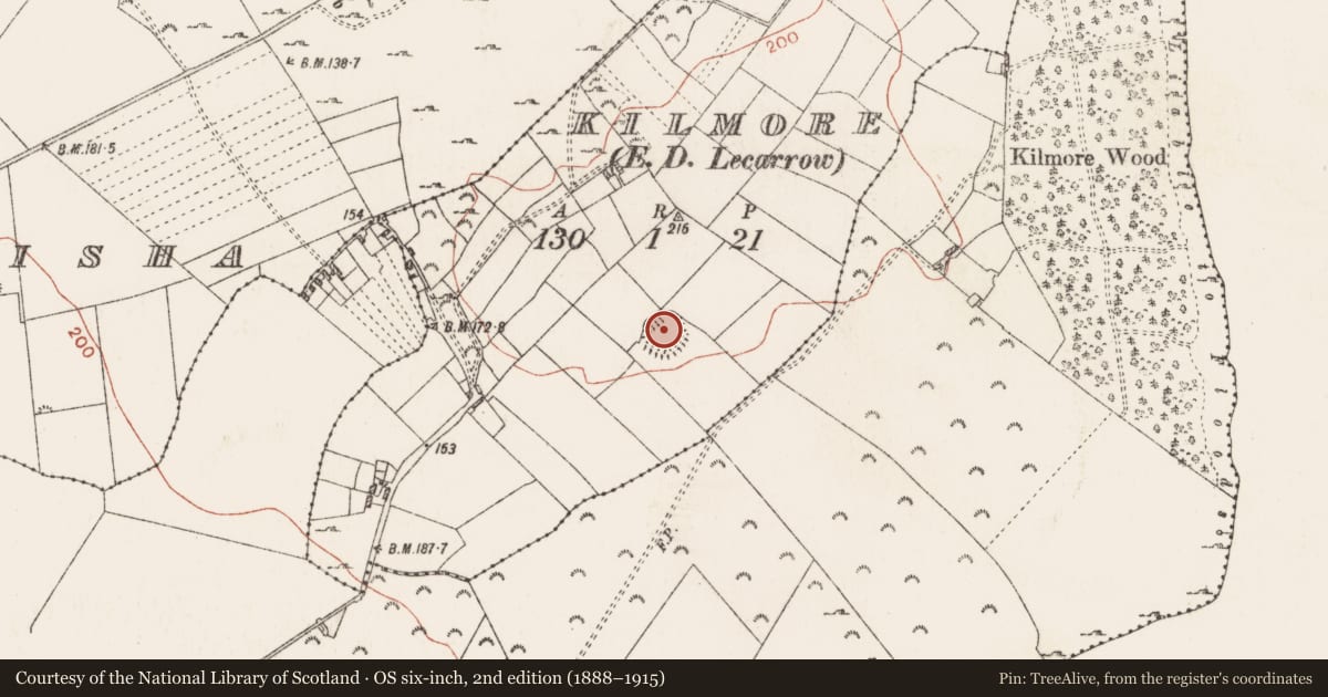 Ordnance Survey six-inch map, 2nd edition (1888–1915) covering the location of Ringfort - rath, Kilmore, County Roscommon, with a pin at the register's coordinates